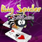 Big Spider Solitaire (13.91 KiB)