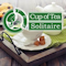 Cup Of Tea Solitaire (14.08 KiB)