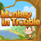Monkey In Trouble (13.75 KiB)